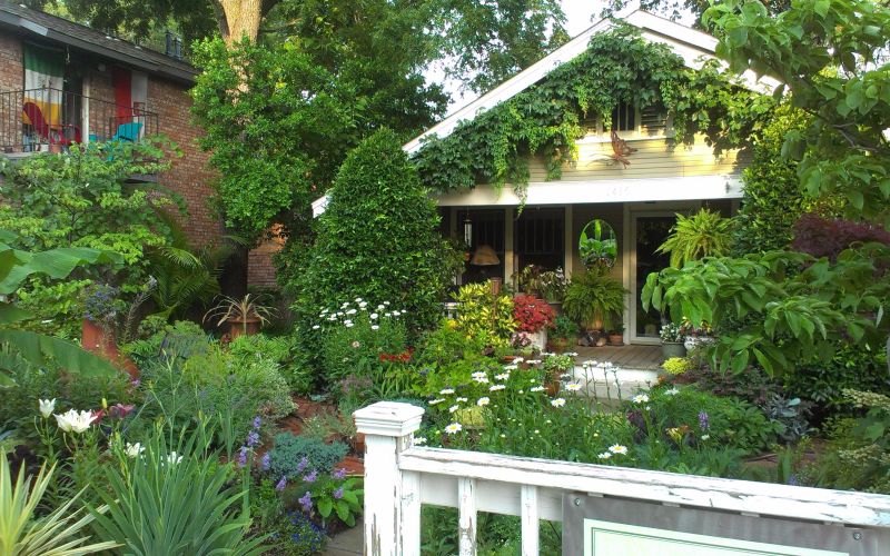 Lush residential garden